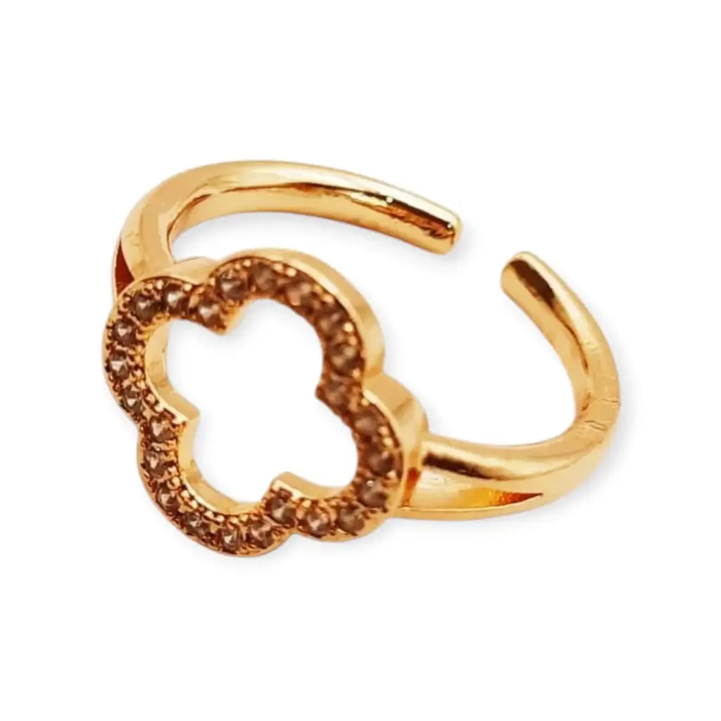 VANIOL045035 ANILLO OL