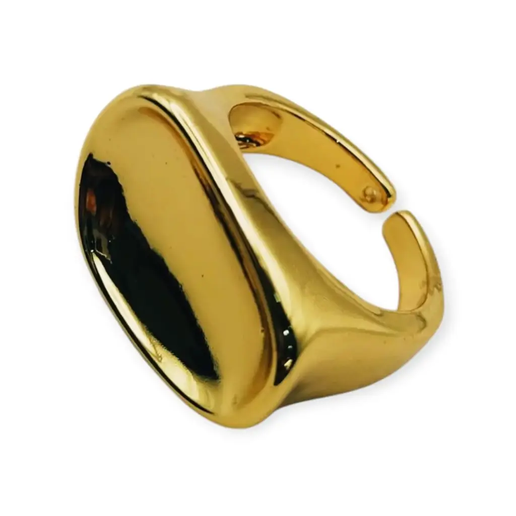 VANIOL045038 ANILLO OL