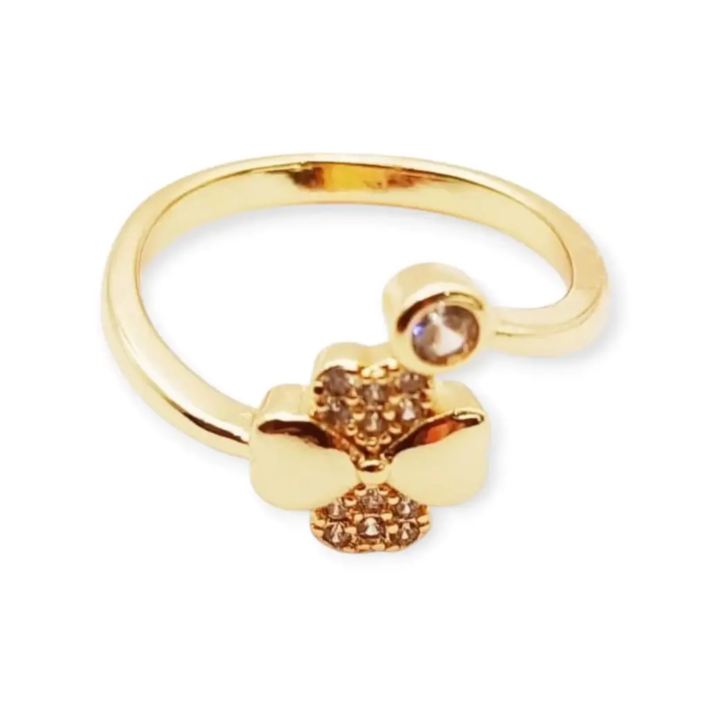 VANIOL045058 ANILLO OL