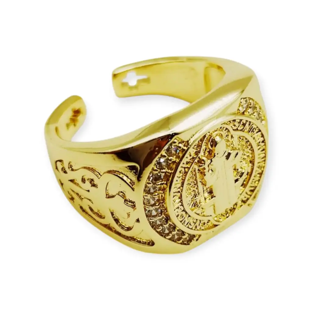 VANIOL055256 ANILLO OL