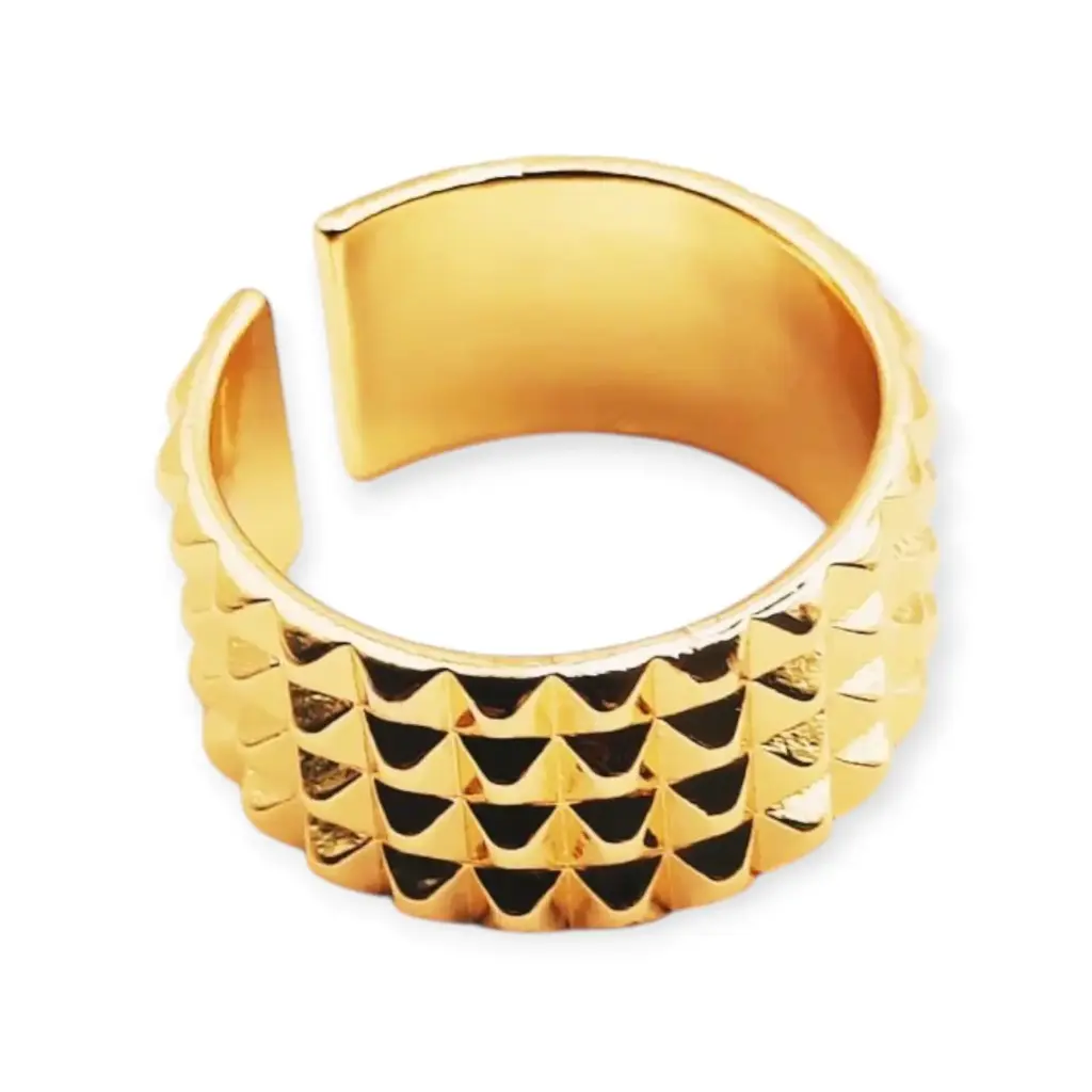 VANIOL065046 ANILLO OL