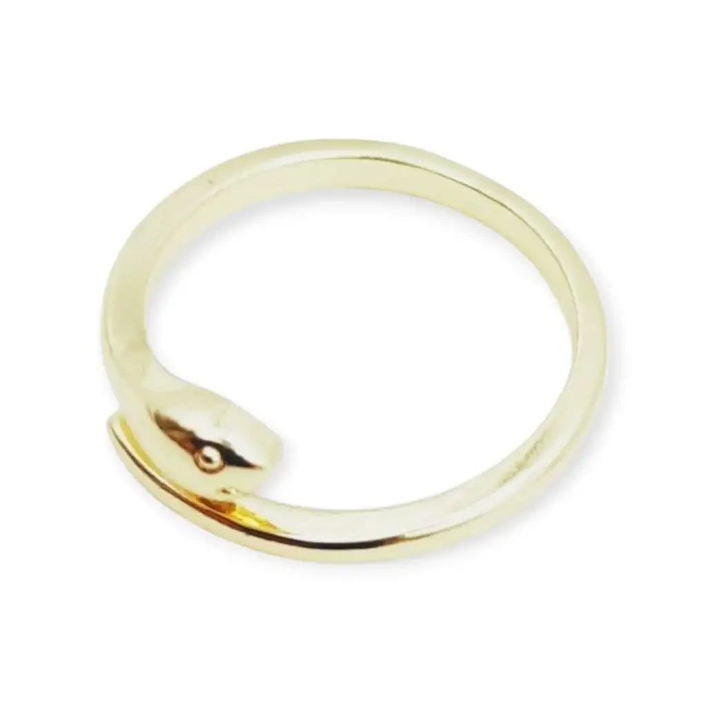 VANIOL065053 ANILLO OL