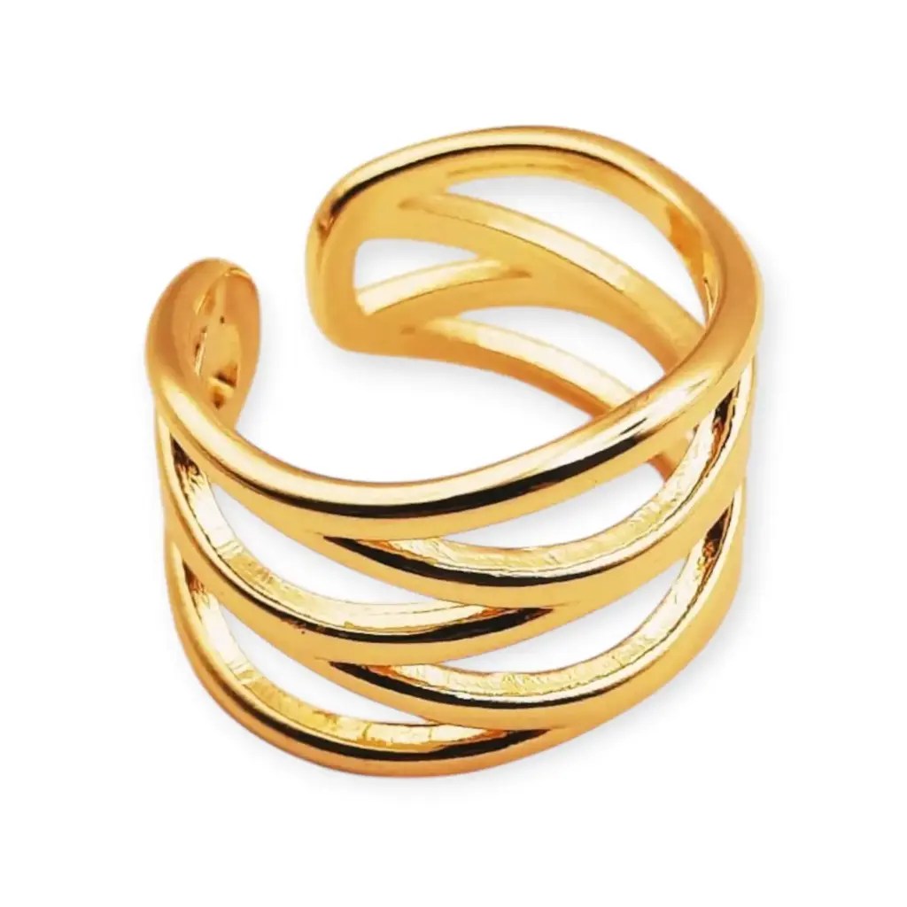 VANIOL065064 ANILLO OL