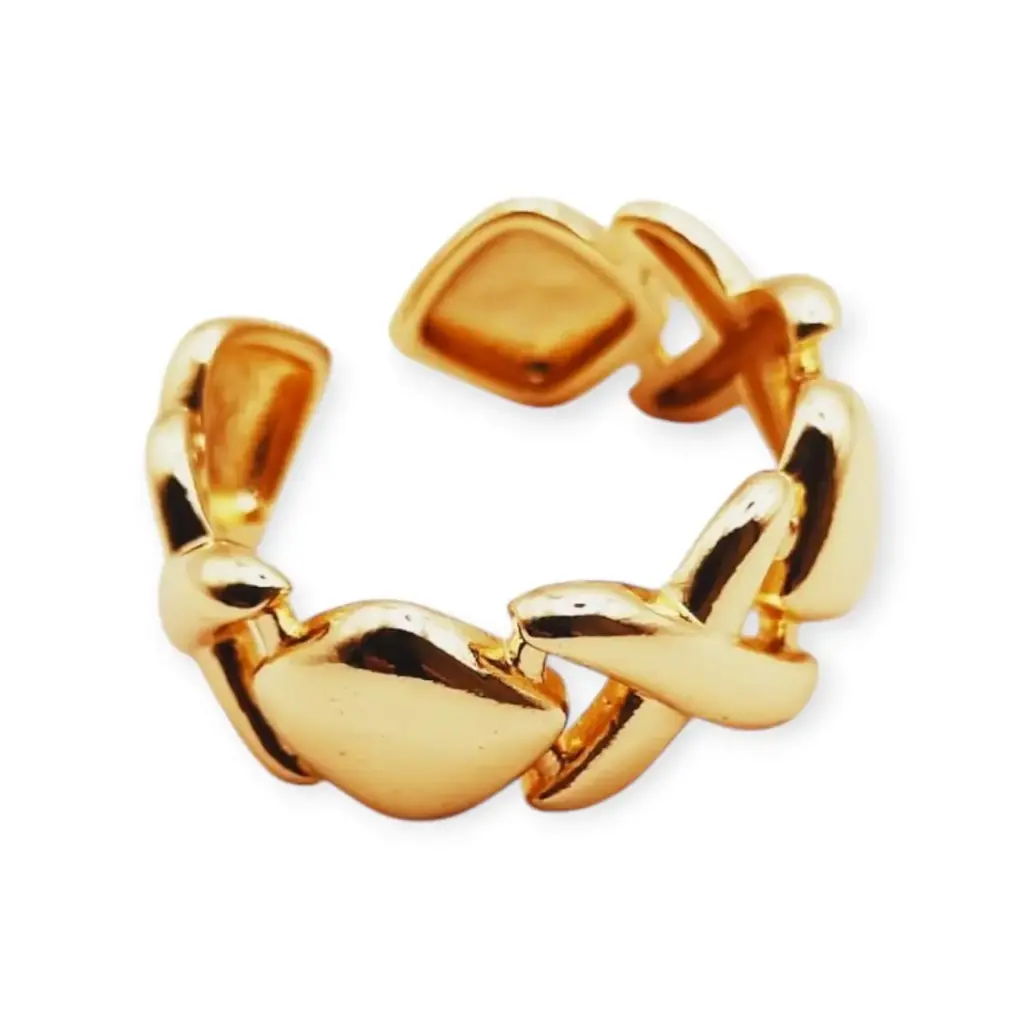 VANIOL065066 ANILLO OL