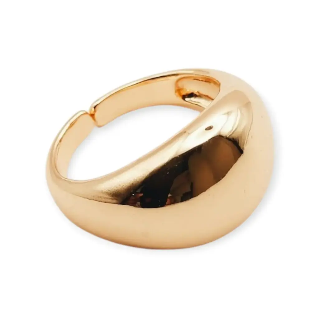 VANIOL065071 ANILLO OL