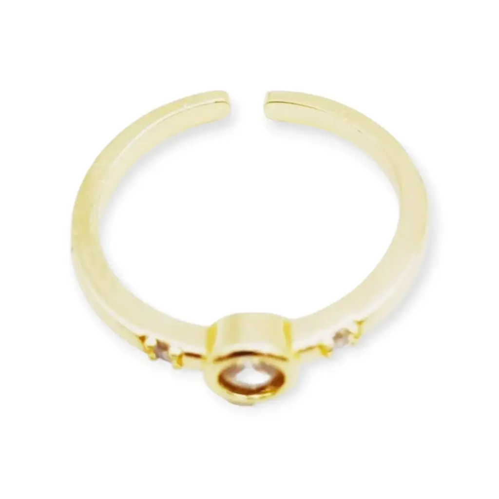 VANIOL065077 ANILLO OL