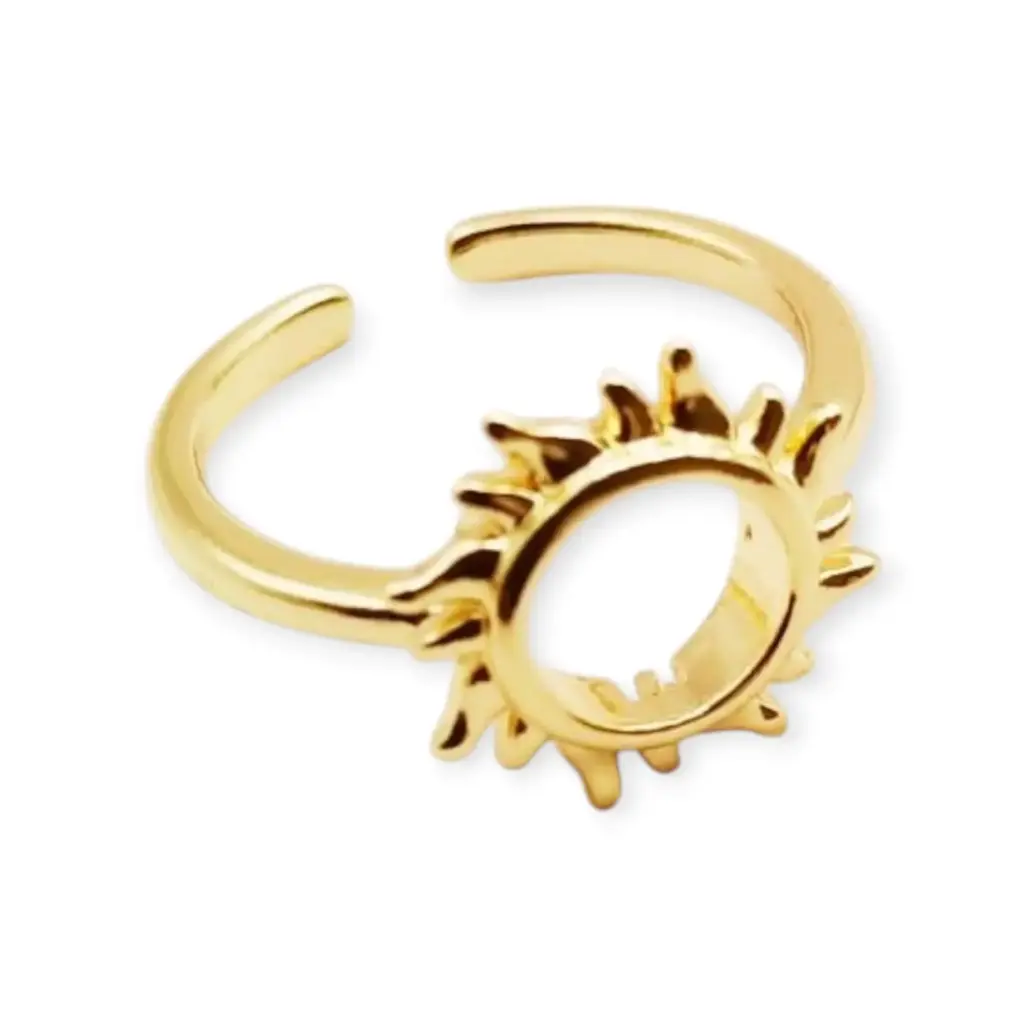 VANIOL065086 ANILLO OL