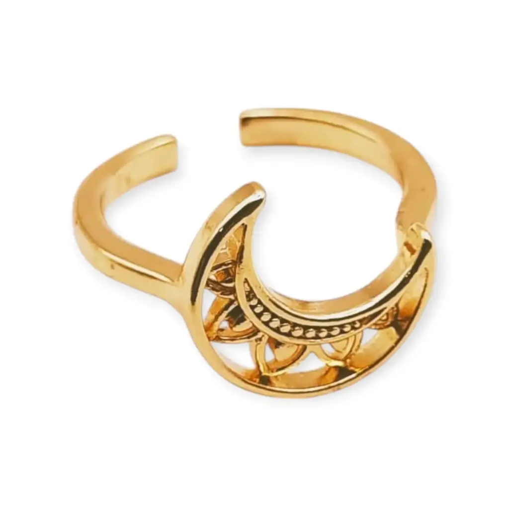 VANIOL065087 ANILLO OL