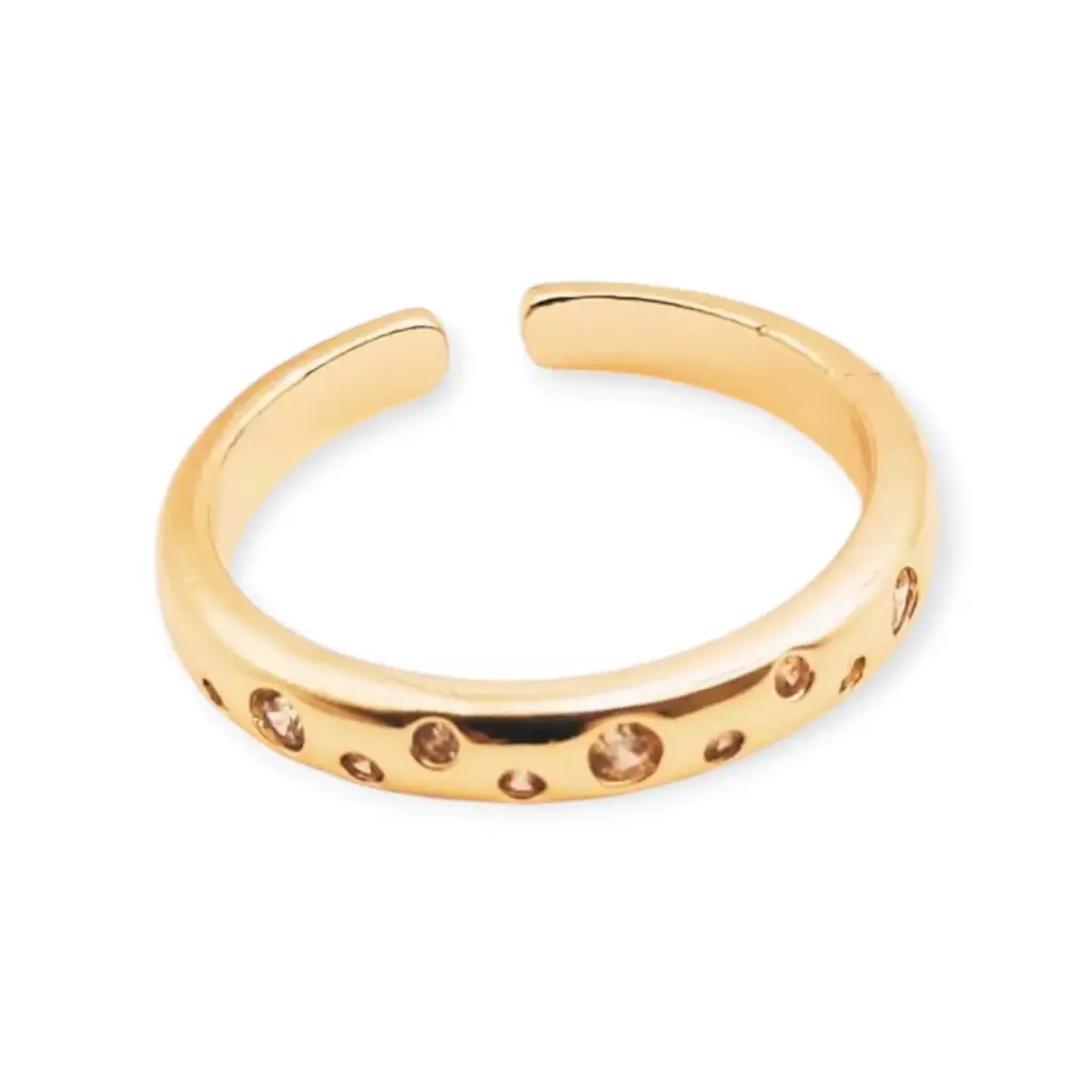 VANIOL065088 ANILLO OL