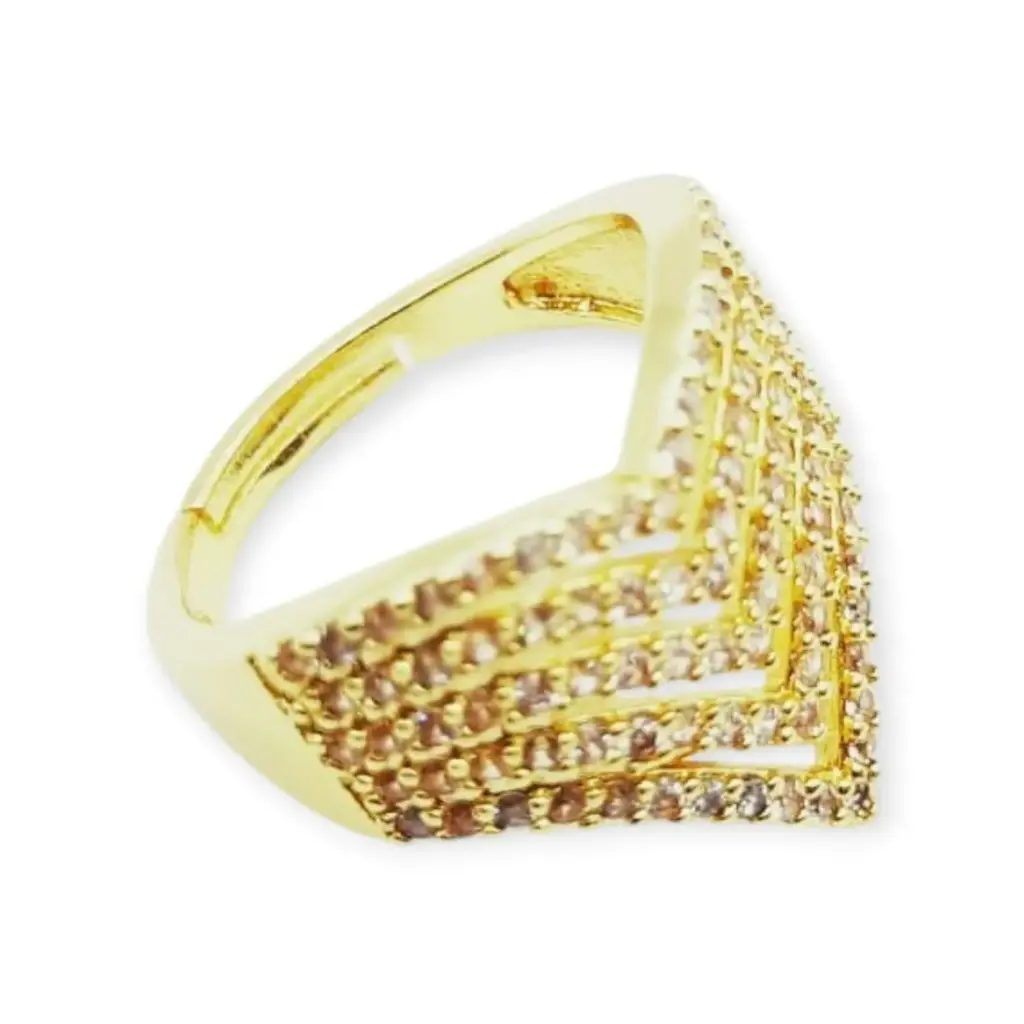 VANIOL065097 ANILLO OL