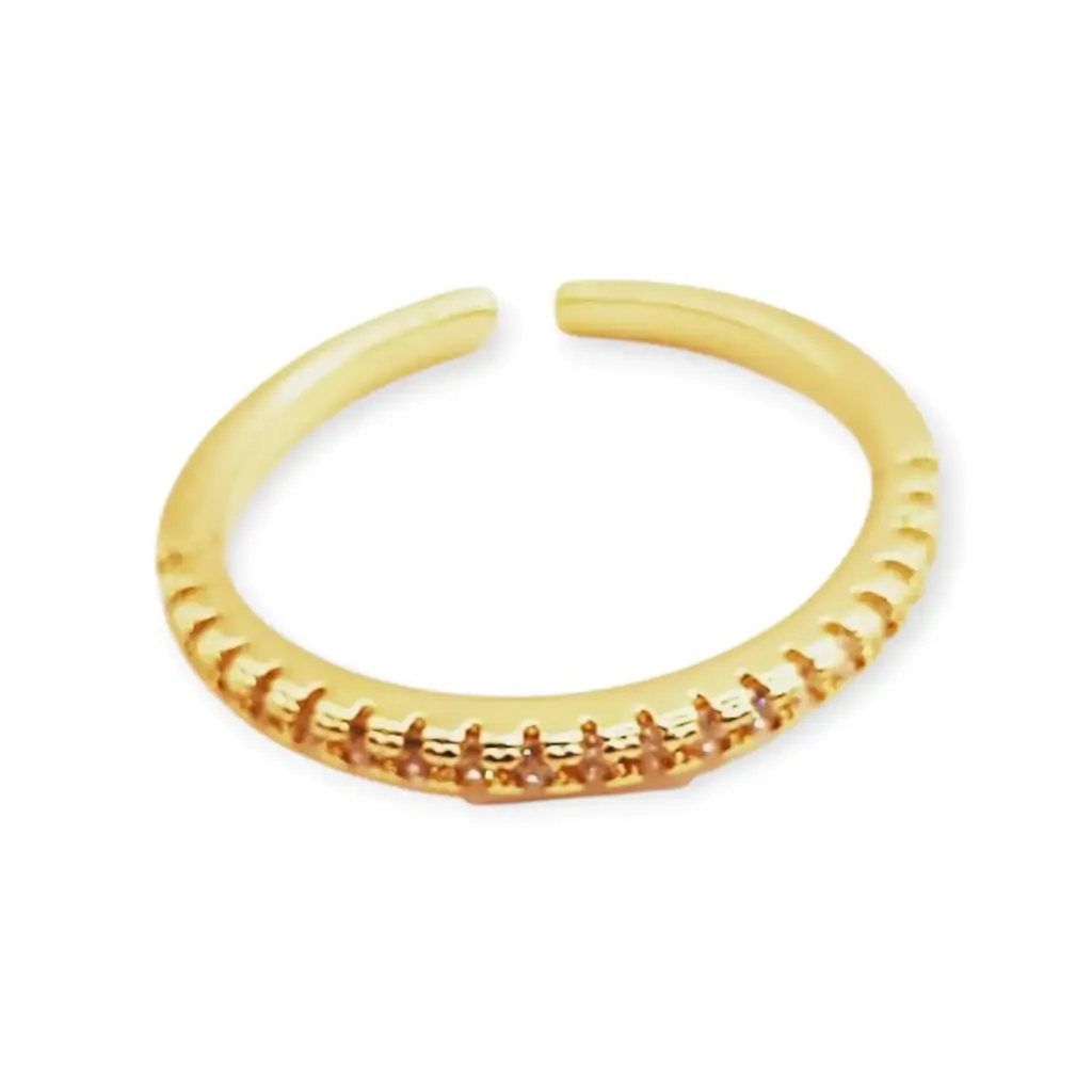 VANIOL065100 ANILLO OL