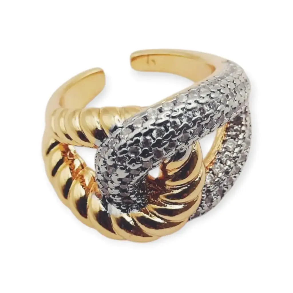 VANIOL065129 ANILLO OL