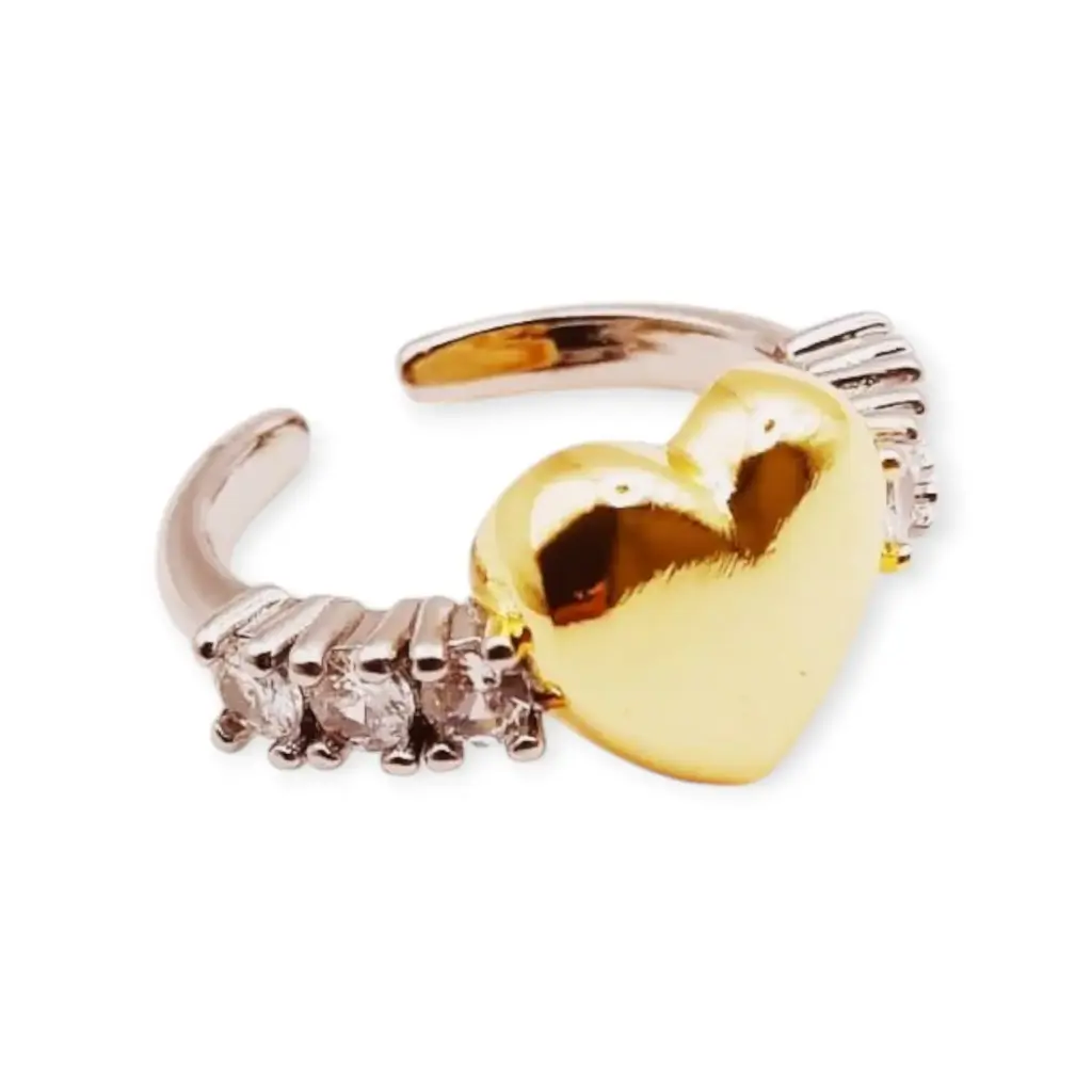 VANIOL065131 ANILLO OL