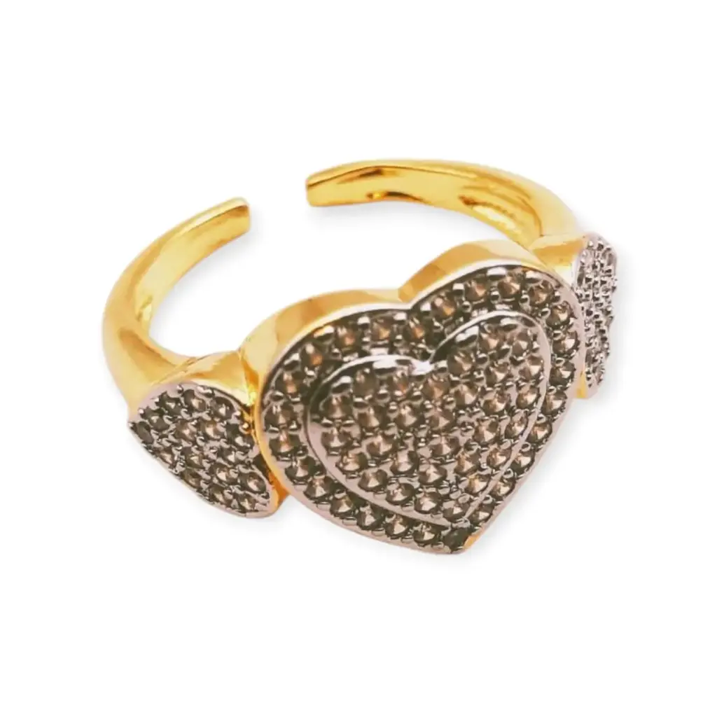 VANIOL065132 ANILLO OL