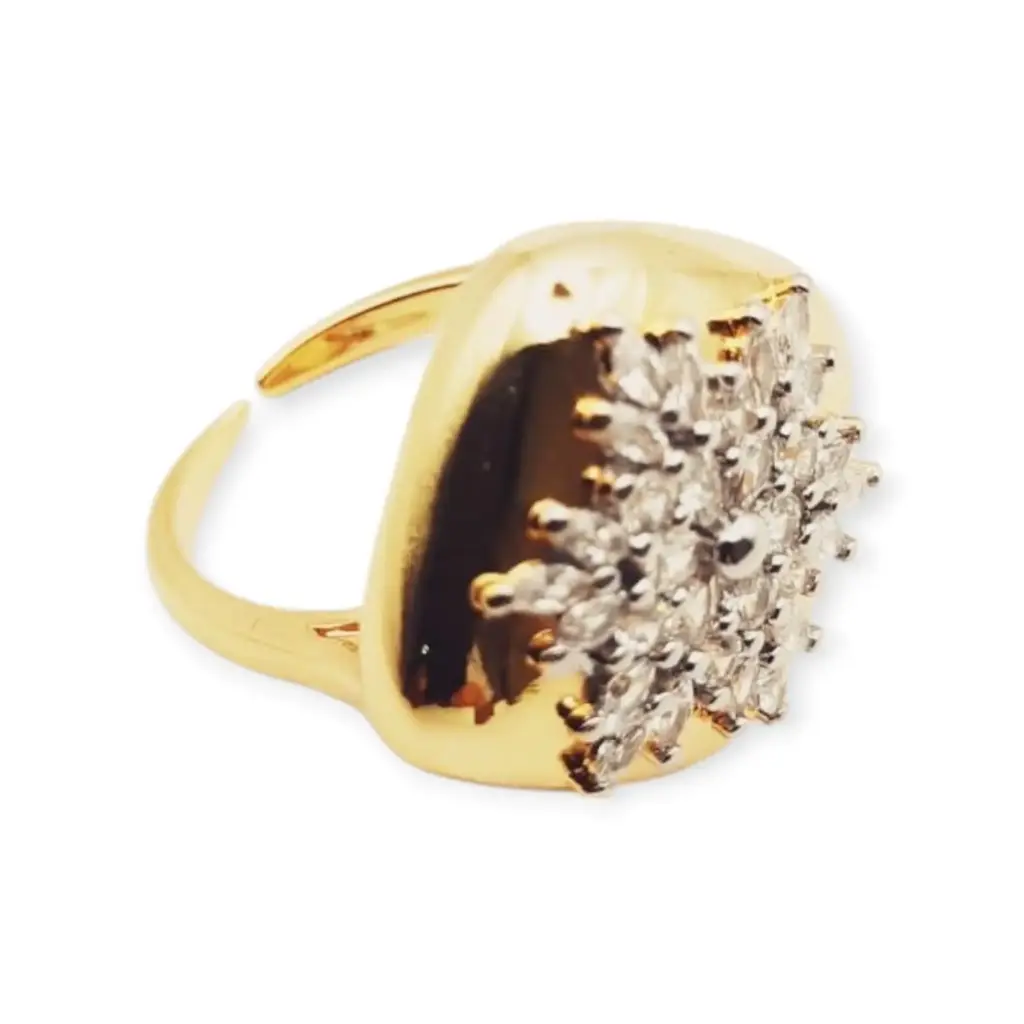 VANIOL065138 ANILLO OL