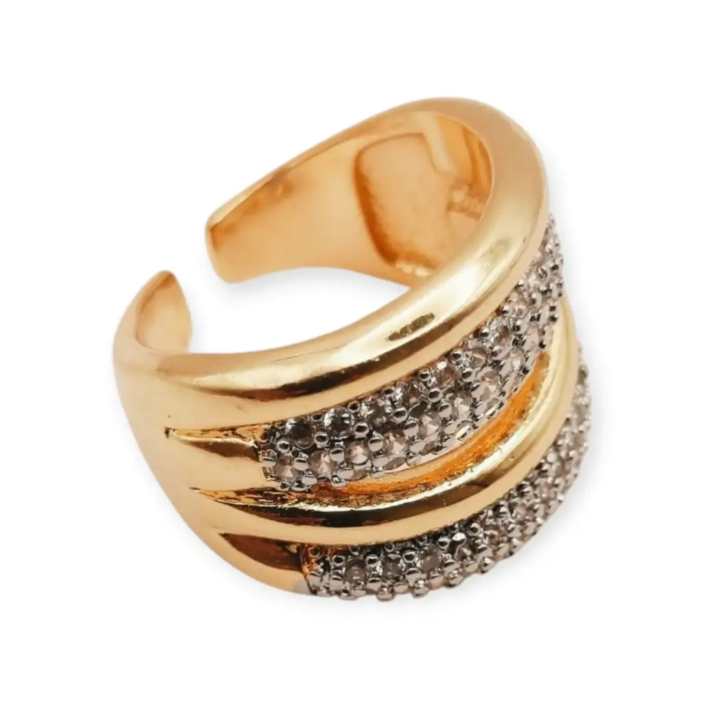 VANIOL065139 ANILLO OL