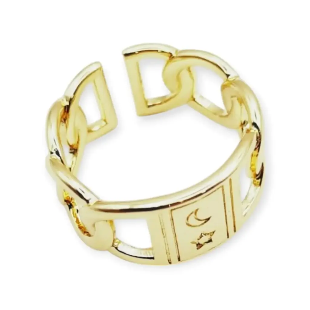 VANIOL065155 ANILLO OL