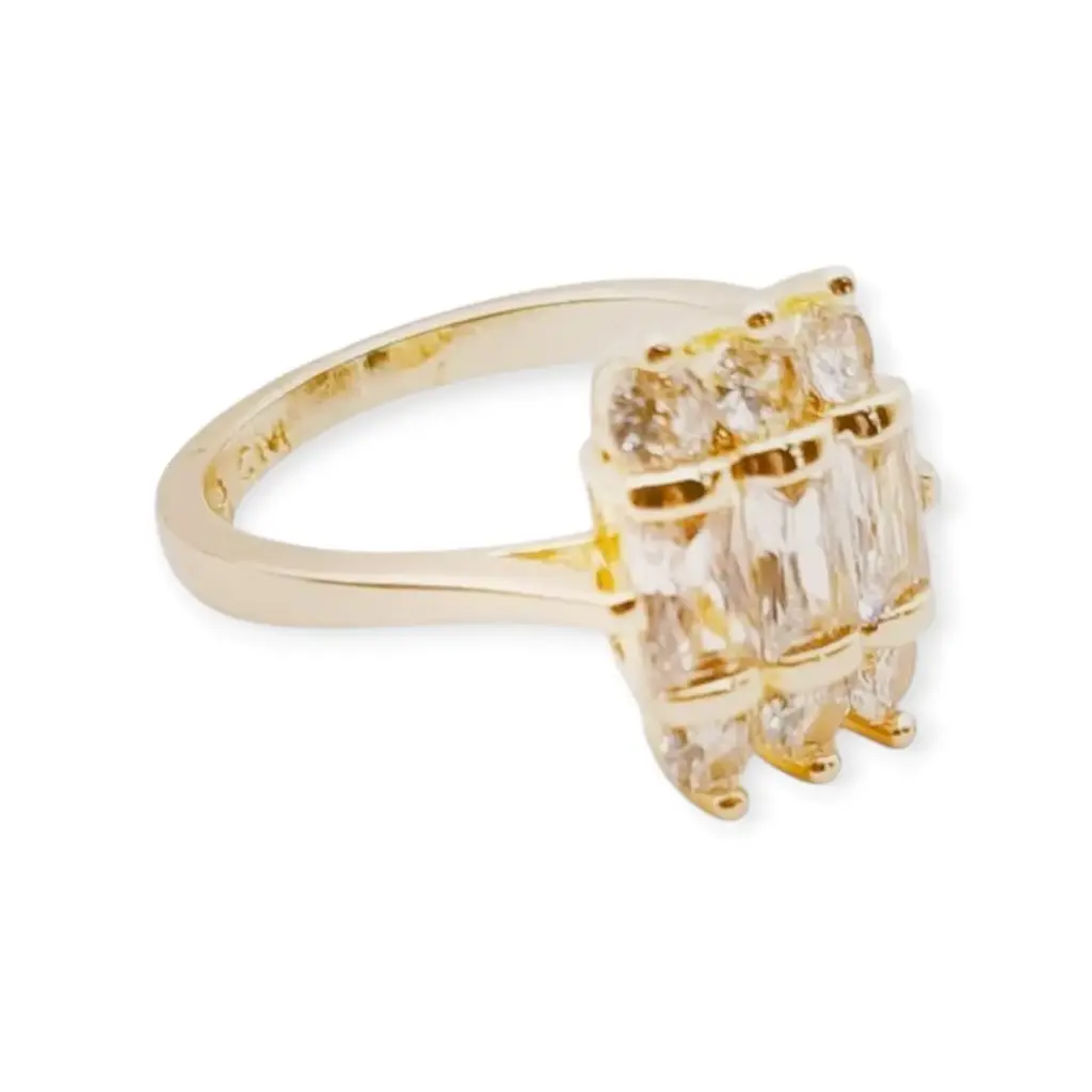 VANIOL055225 ANILLO OL