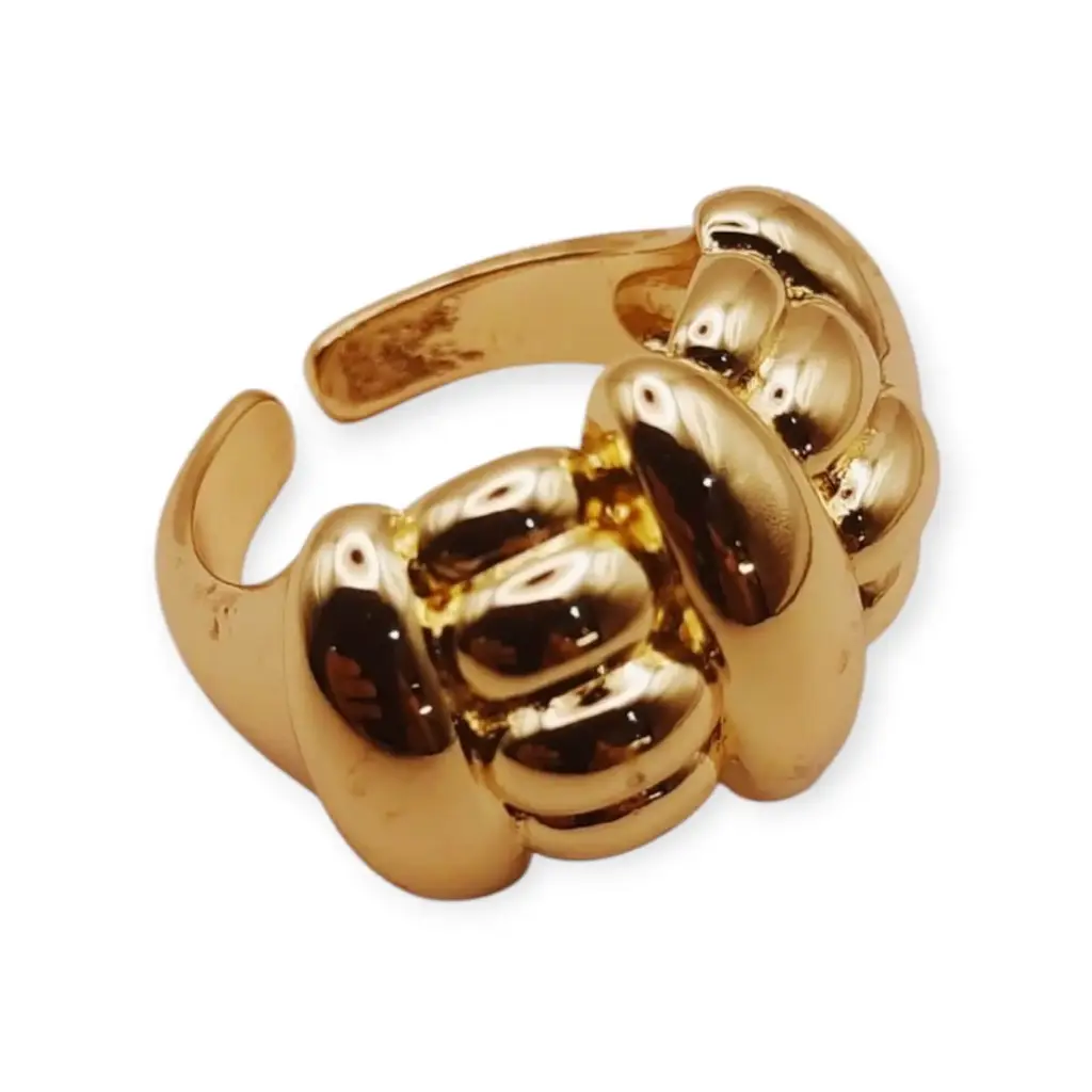 VANIOL055231 ANILLO OL