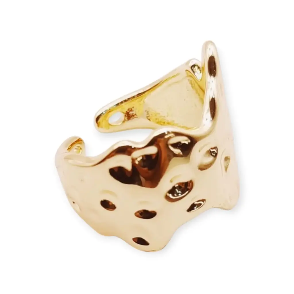 VANIOL055241 ANILLO OL